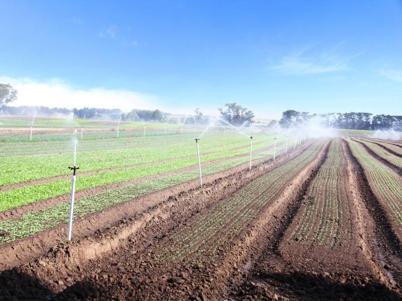 365 Boisdale-Stratford Road, Maffra VIC 3860