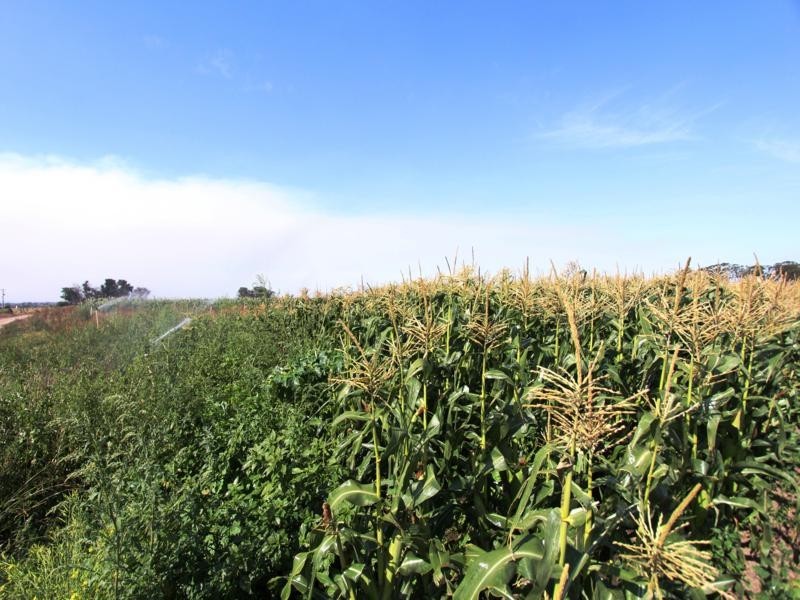 365 Boisdale-Stratford Road, Maffra VIC 3860