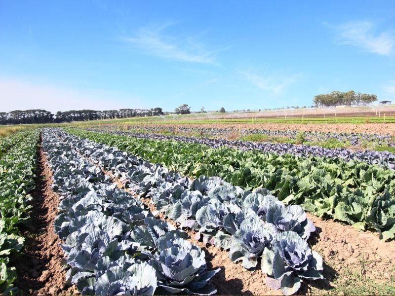 365 Boisdale-Stratford Road, Maffra VIC 3860