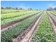365 Boisdale-Stratford Road, Maffra VIC 3860