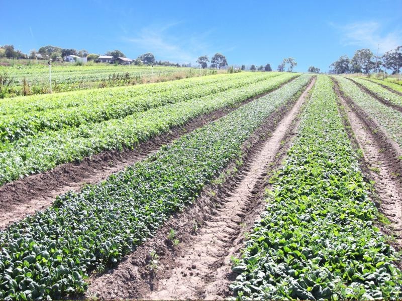 365 Boisdale-Stratford Road, Maffra VIC 3860
