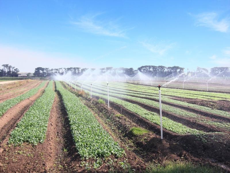 365 Boisdale-Stratford Road, Maffra VIC 3860