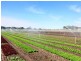 365 Boisdale-Stratford Road, Maffra VIC 3860