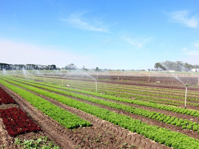 365 Boisdale-Stratford Road, Maffra VIC 3860