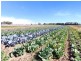 365 Boisdale-Stratford Road, Maffra VIC 3860