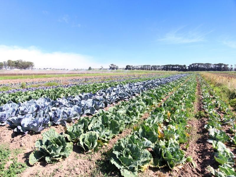 365 Boisdale-Stratford Road, Maffra VIC 3860