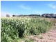 365 Boisdale-Stratford Road, Maffra VIC 3860
