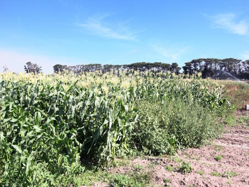 365 Boisdale-Stratford Road, Maffra VIC 3860