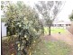 . Lind Avenue, Dargo VIC 3862