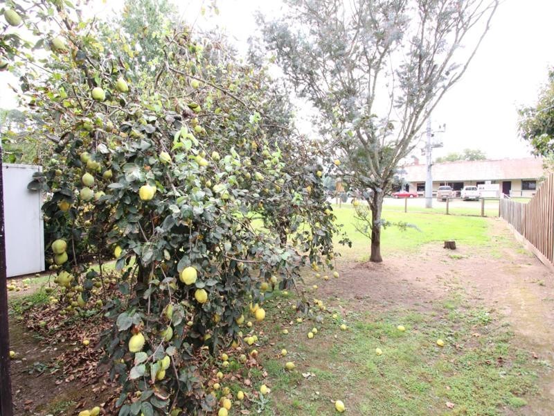 . Lind Avenue, Dargo VIC 3862