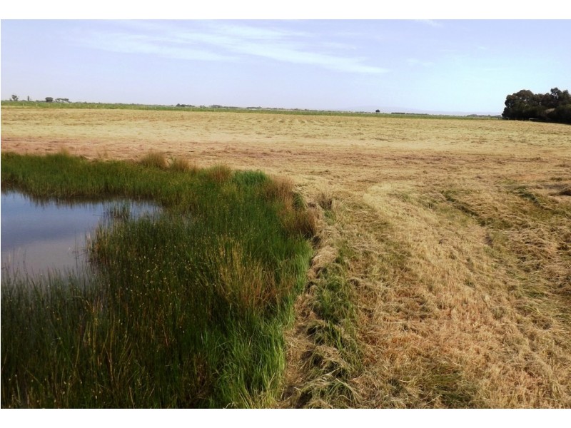 193 Monaghans Lane, Cobains VIC 3851