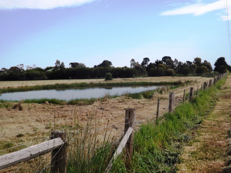 193 Monaghans Lane, Cobains VIC 3851