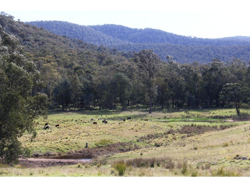 Lot 3 Moroka Road, Valencia Creek VIC 3860