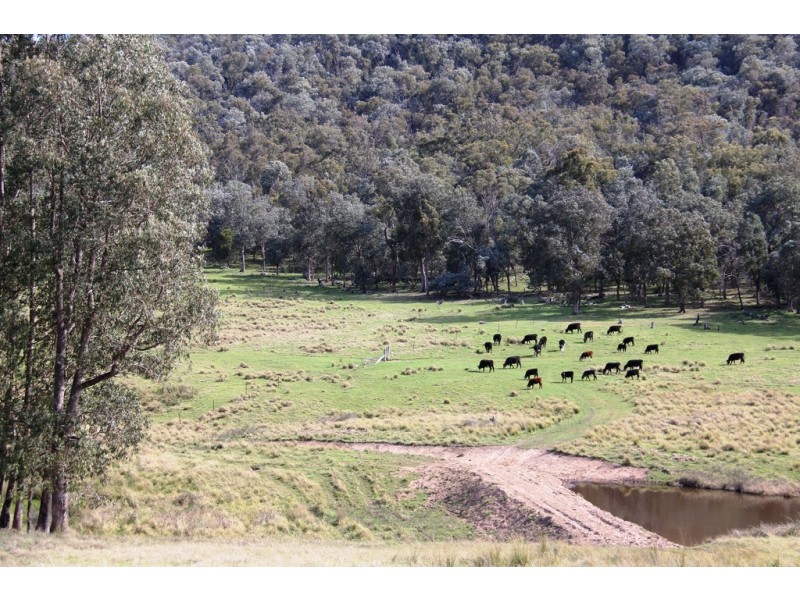 Lot 3 Moroka Road, Valencia Creek VIC 3860