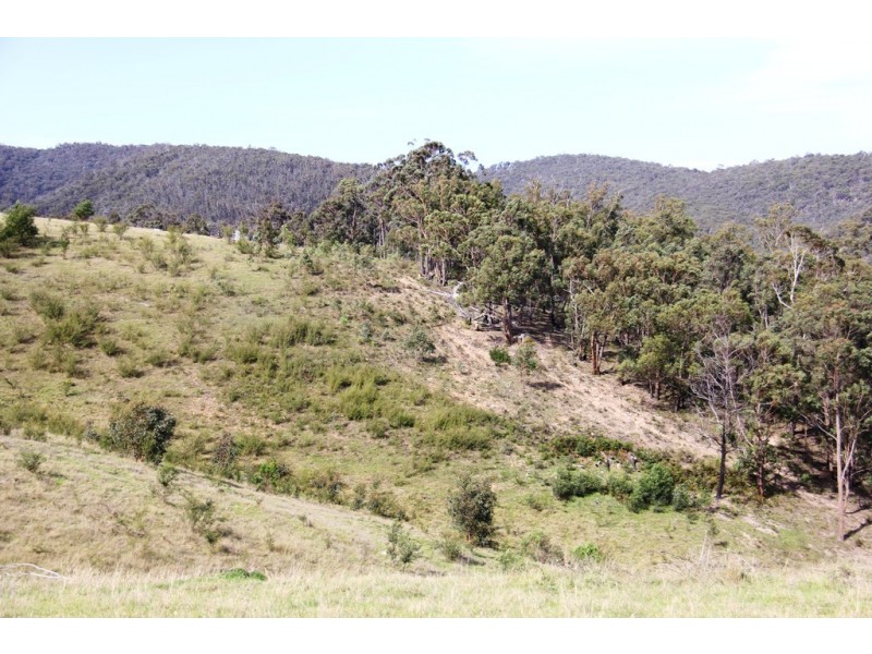 Lot 3 Moroka Road, Valencia Creek VIC 3860