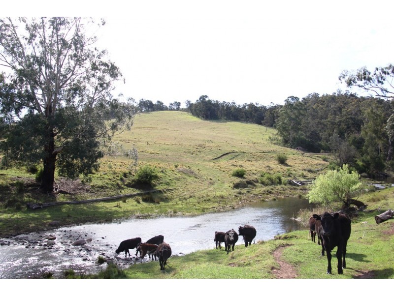 Lot 3 Moroka Road, Valencia Creek VIC 3860