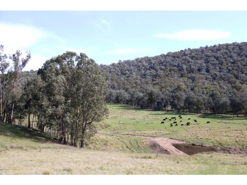 Lot 3 Moroka Road, Valencia Creek VIC 3860