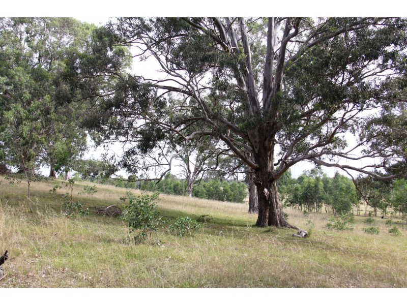 Briagolong VIC 3860