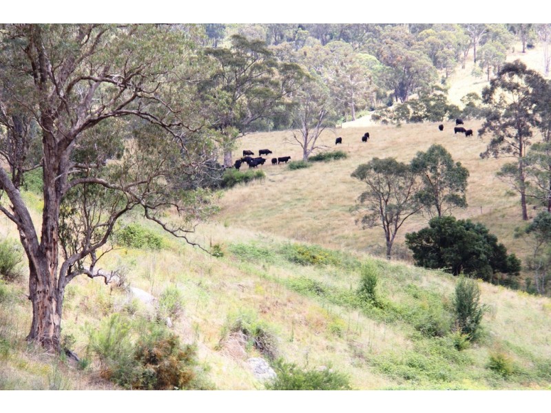 Dargo VIC 3862