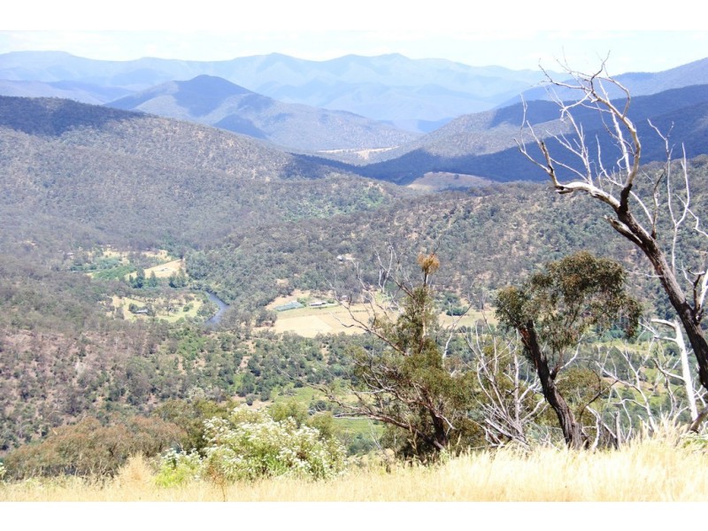 Dargo VIC 3862