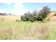 Dargo VIC 3862