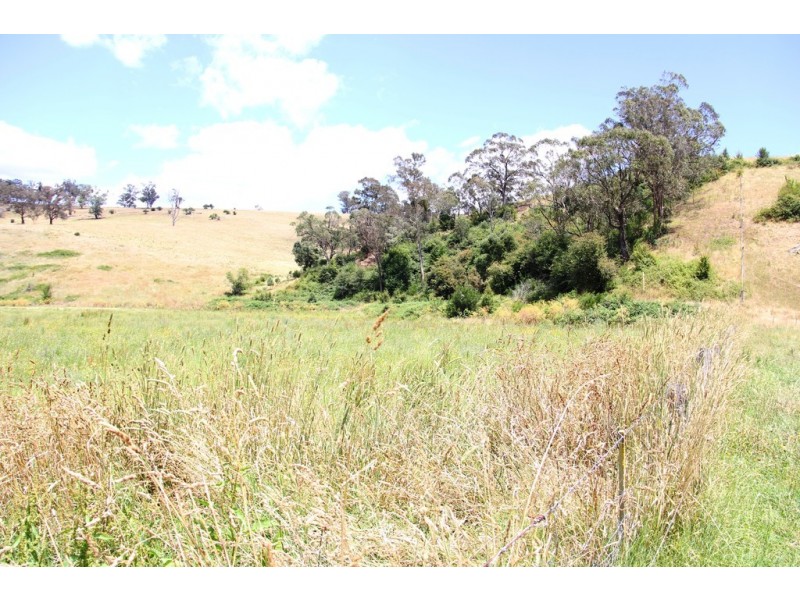 Dargo VIC 3862