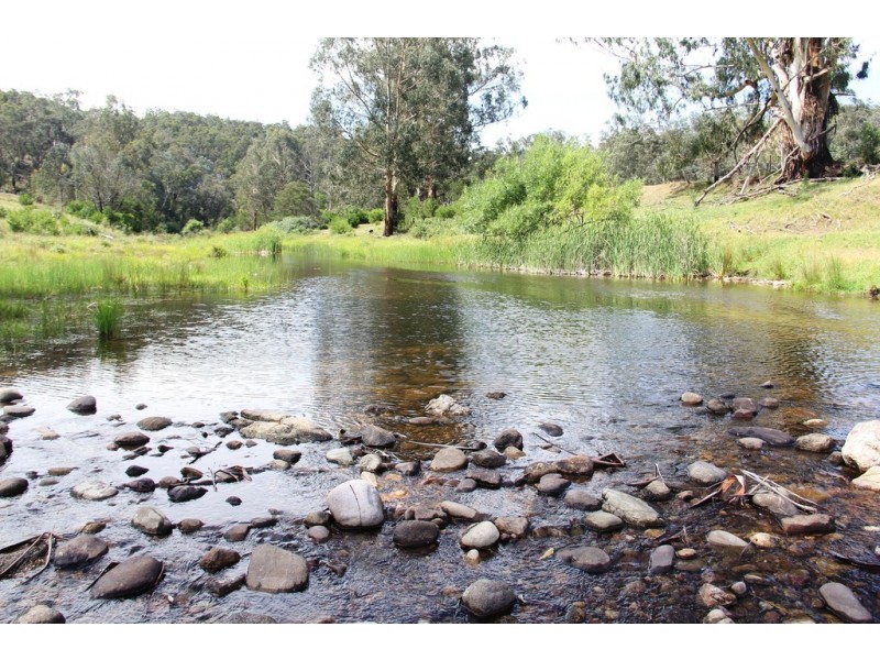 Dargo VIC 3862