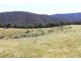 Dargo VIC 3862