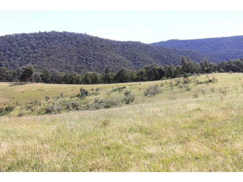 Dargo VIC 3862