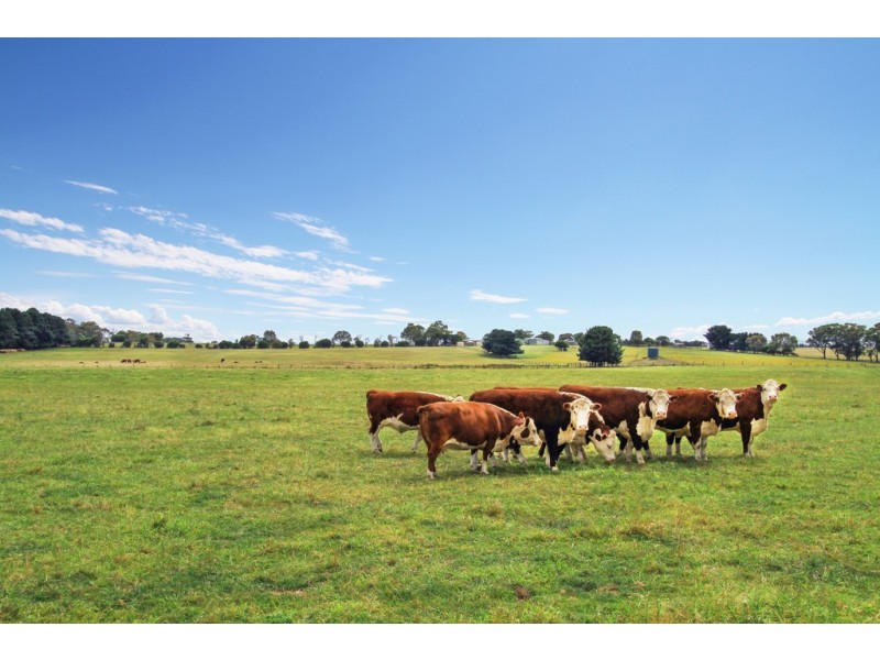 20 Wisharts Road, Goon Nure VIC 3875