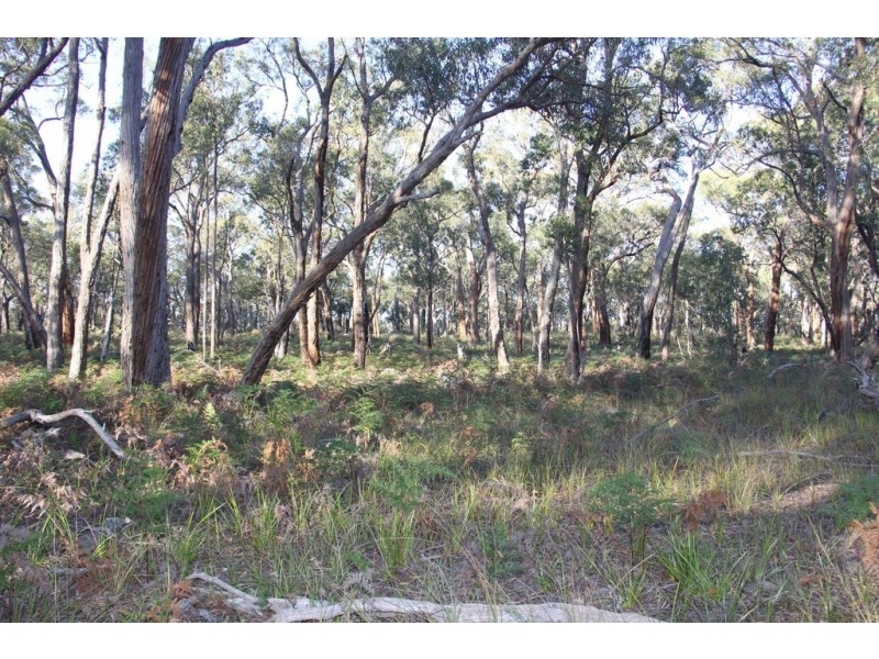 Lot 3 Andersons Lane, Stradbroke VIC 3851