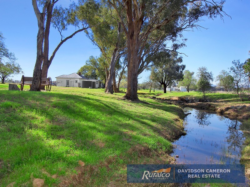 63 Phillip Lane, Tamworth NSW 2340