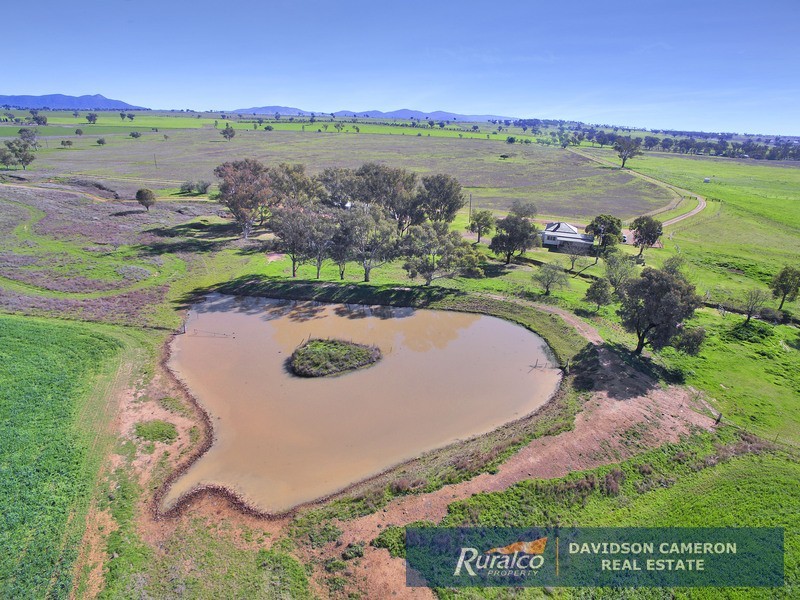 63 Phillip Lane, Tamworth NSW 2340