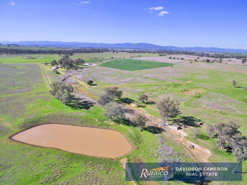 63 Phillip Lane, Tamworth NSW 2340