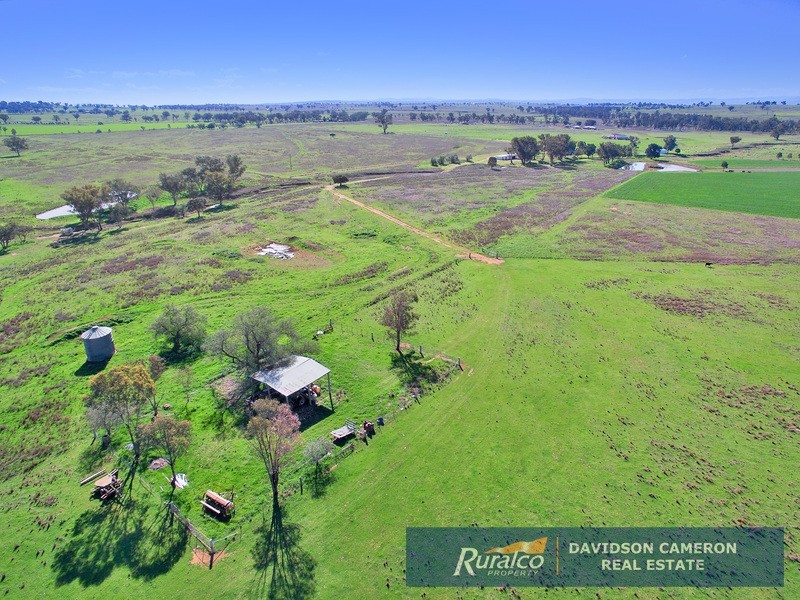 63 Phillip Lane, Tamworth NSW 2340