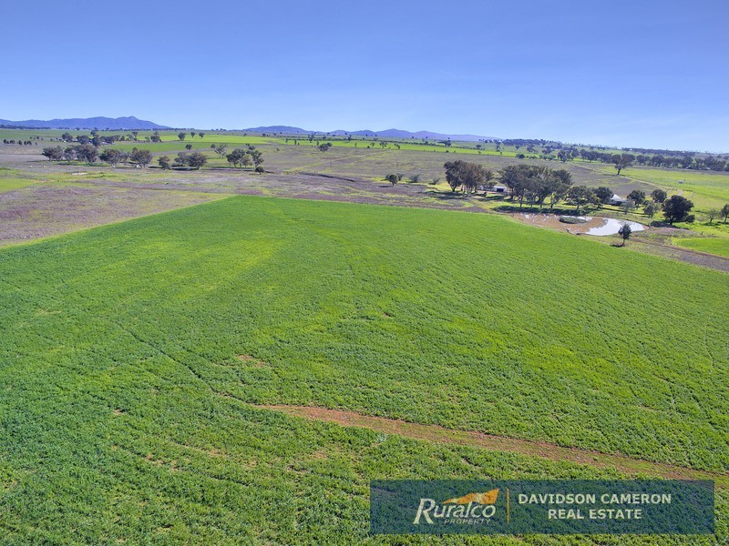 63 Phillip Lane, Tamworth NSW 2340