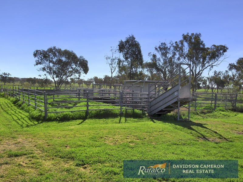 63 Phillip Lane, Tamworth NSW 2340