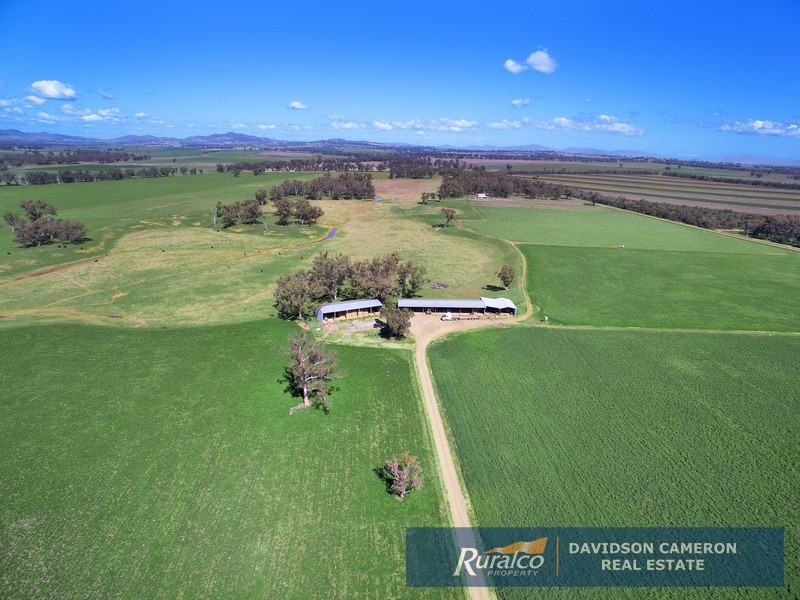 Duntroon 348 Loomberah Road, Tamworth NSW 2340