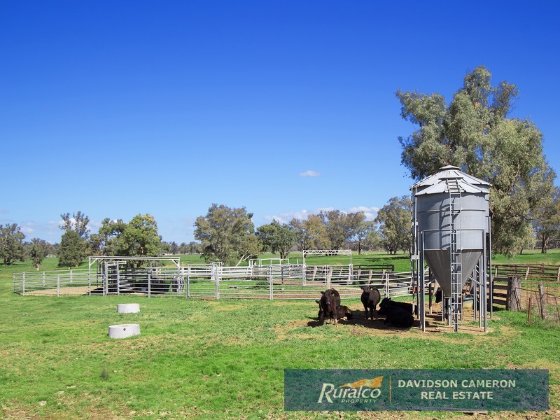 Duntroon 348 Loomberah Road, Tamworth NSW 2340