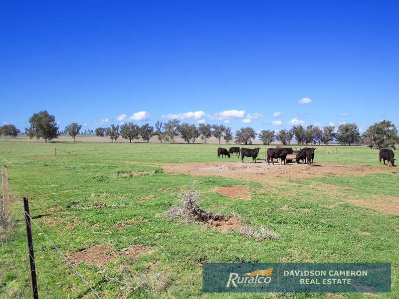 Duntroon 348 Loomberah Road, Tamworth NSW 2340