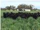 Duntroon 348 Loomberah Road, Tamworth NSW 2340
