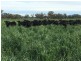 Duntroon 348 Loomberah Road, Tamworth NSW 2340