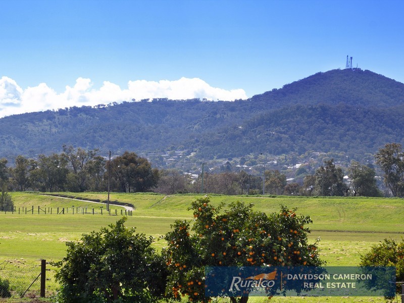 170 Goonoo Goonoo Road, Tamworth NSW 2340