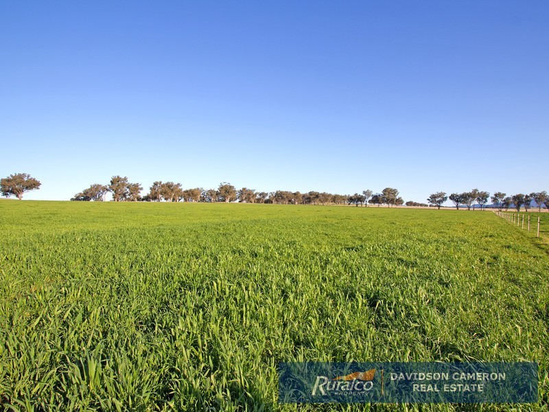 572 Duri-Dungowan Road, Tamworth NSW 2340