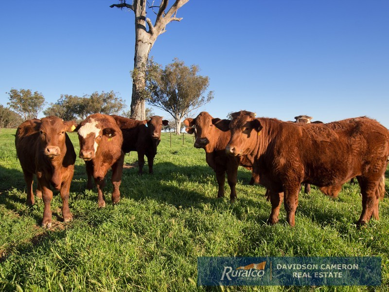 572 Duri-Dungowan Road, Tamworth NSW 2340