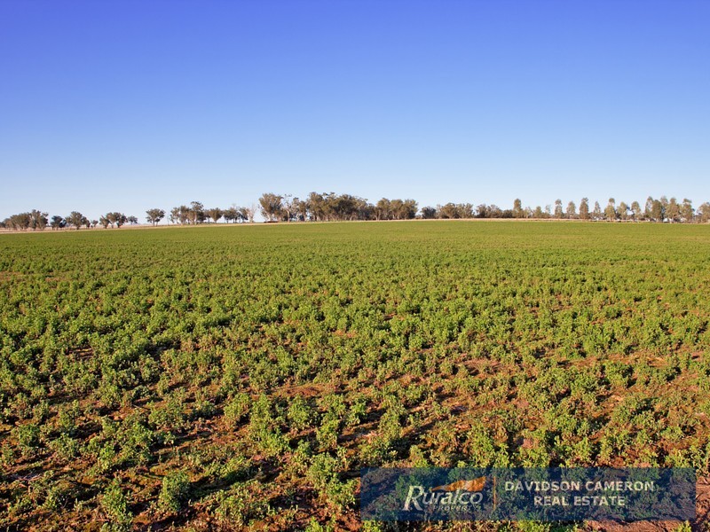 572 Duri-Dungowan Road, Tamworth NSW 2340