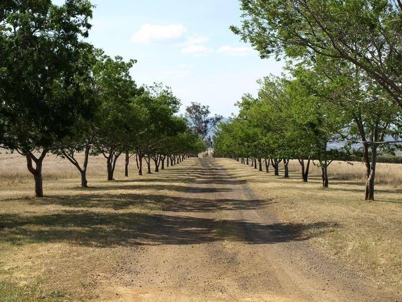 316 Newmans Lane, Tamworth NSW 2340