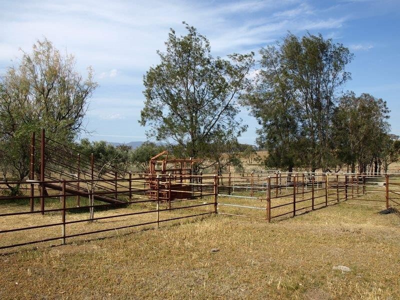 316 Newmans Lane, Tamworth NSW 2340