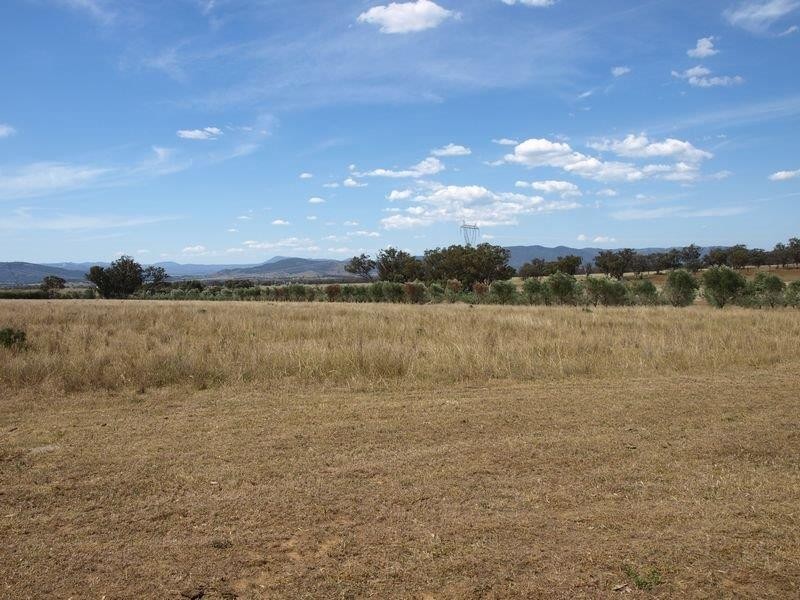 316 Newmans Lane, Tamworth NSW 2340