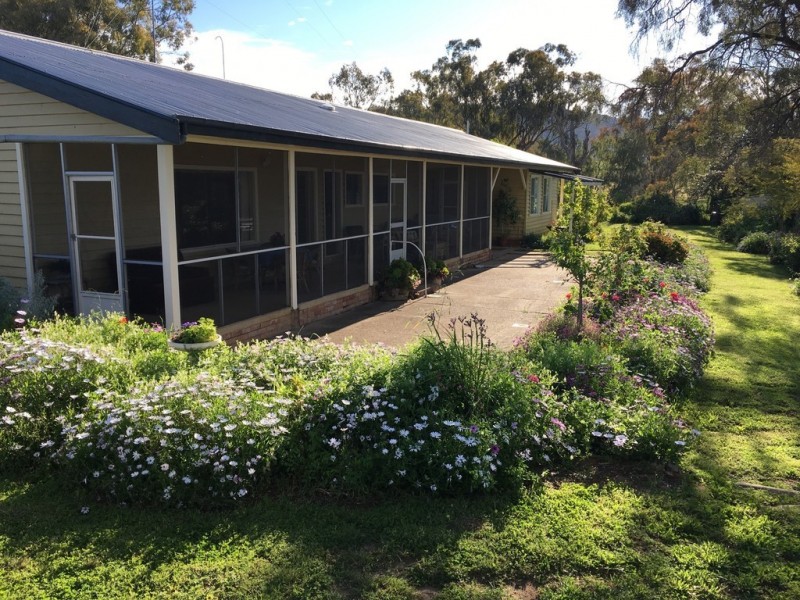 Wolli 2006 Old Winton Road, Tamworth NSW 2340